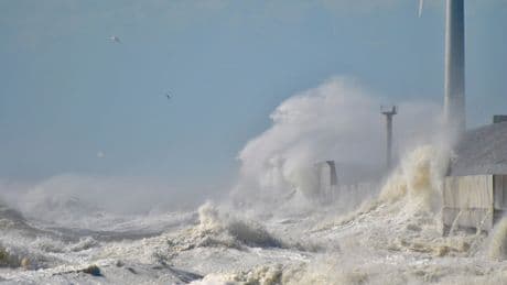 A Tsunami Has Hit The Pacific – This Is How They Form And What People Can Expect