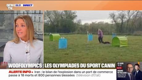 Animaux de compagnie: les bienfaits de faire du sport avec son chien