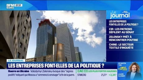 Les entreprises font-elles de la politique ?