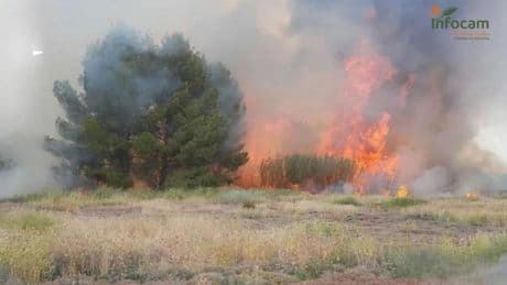 Incendio de nivel 1 en La Puebla de Almoradiel (Toledo): sigue sin estar controlado