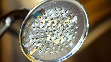 Remove shower head limescale with 35p item that 'works magic'