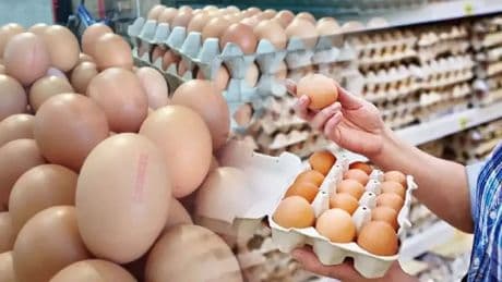 YUMBİR fiyatların düştüğünü açıkladı, etiketler değişmedi! Sakın bu fiyata yumurta almayın: Tüketiciler uyarıldı