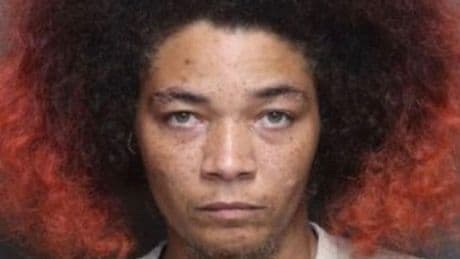 Eight-year-old boy found starved and murdered in loft and left in a rubbish bag