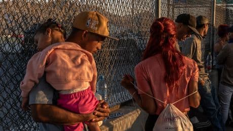 Lawyers for Venezuelans Ask Court to Press D.H.S. on Temporary Protections