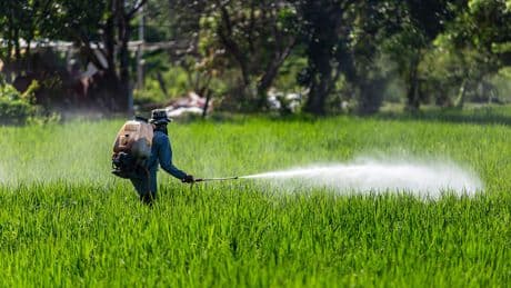Bayer songe à cesser de vendre du glyphosate