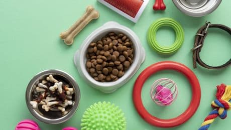 Seis errores comunes al elegir productos para mascotas y cómo evitarlos