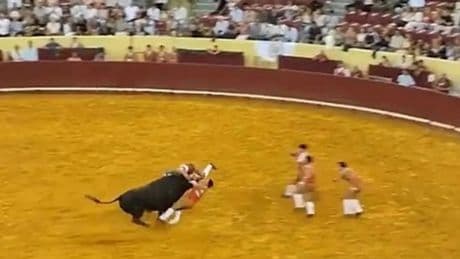 22 yaşındaki matadorun feci sonu! 700 kiloluk boğa arenada dehşet saçtı
