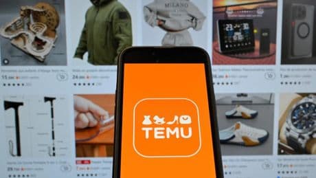 Chinesischer Internetdienst: Online-Plattform Temu droht EU-Strafe