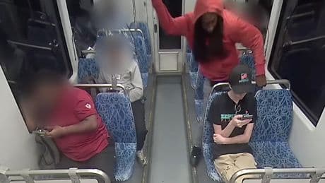 Disturbing video of Ukrainian refugee Iryna Zarutska’s murder is proof America has a serious crime problem