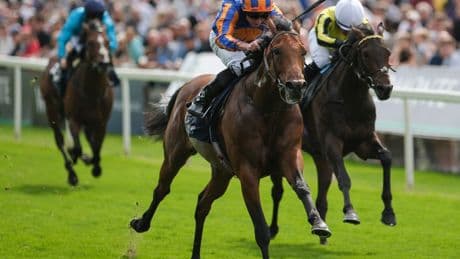 Aidan O’Brien’s massive Derby favourite sees odds skyrocket as stablemate ‘pulls away’ at head of market for £1.5m race