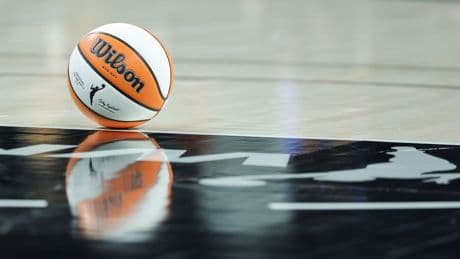 Fan, 32, accused of throwing sex toy at 12-year-old girl during WNBA game
