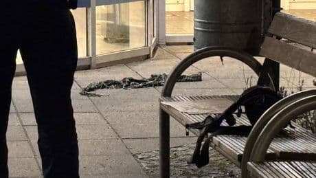 Blutiger Streit in Berlin - Palästinensertuch bei Messer-Tatort