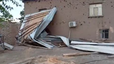 Kuvvetli rüzgar elektrik direğini devirdi; 6 inek akıma kapılıp öldü