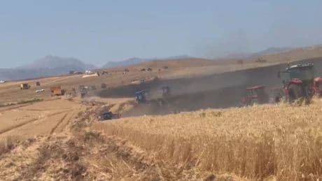 Siirt'te 350 dönümlük buğday tarlası yandı
