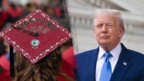 Harvard sues Trump admin over foreign student ban, describes it as 'government vendetta’