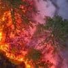 Incendies : Bosnie, Turquie, Chypre... Le sud de l'Europe sévèrement touché par les flammes