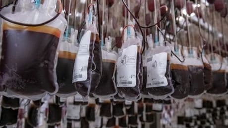Breakthrough in lab-grown blood could mean UK no longer needs to rely on human donations