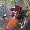 Terrifying 36-hour ordeal as survivors cling onto side of plane after crash landing in alligator-infested swamp