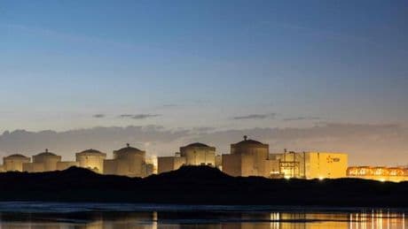 Des méduses à l’origine de l’arrêt de la centrale nucléaire de Gravelines