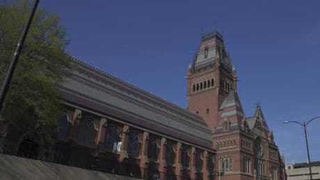 Harvard demanda a la Administración Trump por prohibir la matriculación de alumnos extranjeros