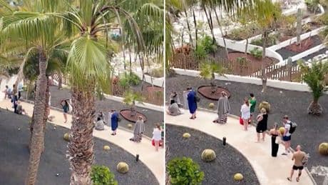 Expertin über Rechtslage: Irrsinn in Spanien: Deutsche Urlauber stehen Schlange für beste Pool-Plätze