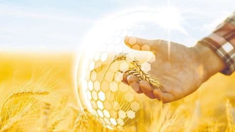 Afetlere karşı çiftçinin güvencesi tarım sigortaları
