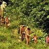 Missionaries are secretly evangelising uncontacted Amazonian tribes by planting Bible-reciting audio devices in remote rainforest, probe reveals