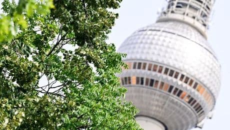 Stadtnatur: Experte: "Der Juli war ein Wonnemonat für die Pflanzen"