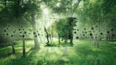 How Nature Inspires Tech: Real-World Examples Of Living Intelligence