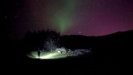 Northern Lights provide stunning backdrop as lamb born on Wester Ross farm