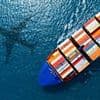 Exports to US fall as Donald Trump's tariffs bite