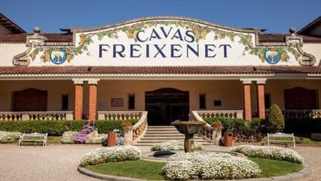 Freixenet despedirá a 180 empleados y reducirá un 25% su plantilla por la sequía