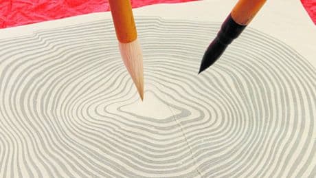 "Così l'inchiostro fluttuante disegna la vita nell'acqua"