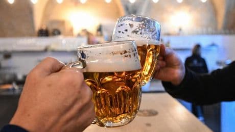 What Glass Should You Use For Lager? (And Why It Matters)