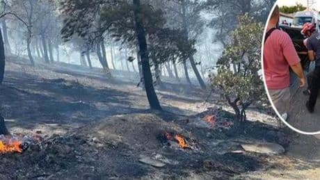 Çanakkale'de orman yangınları sürüyor! Tahliye çalışmasına katılan ekip alevlerin arasından kurtarıldı