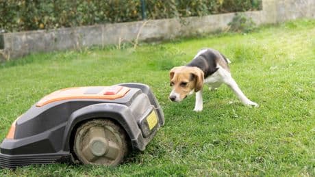 Mähroboter-Pannen: So beheben Sie die häufigsten Fehler schnell und einfach
