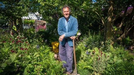 Monty Don explains why he’s included toxic plants in dog-friendly Chelsea Flower Show garden