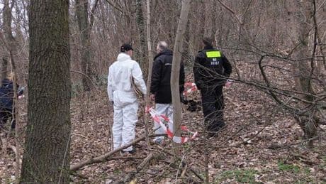 Abgetrennter Oberschenkel in Berlin – Polizei hat neue Hinweise