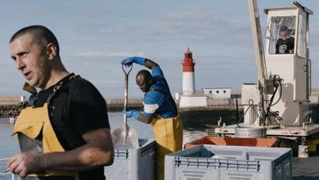 Des marins sénégalais dans les bateaux de pêche bretons : « Ils sont bosseurs et ont l’esprit maritime »