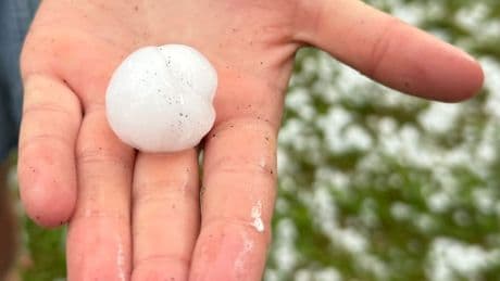 Schweres Unwetter in Baden-Württemberg - Hagel-Gewitter lässt Eisbrocken vom Himmel stürzen