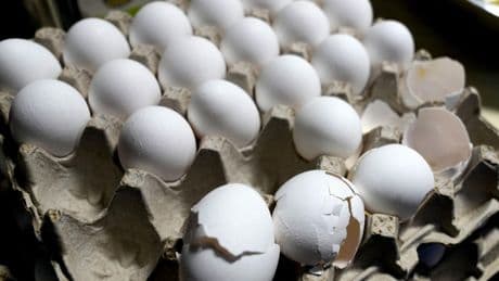 Senators urge DOJ to dig deeper into alleged manipulation of egg prices