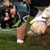 World Cup qualifier delayed for seven minutes as SINKHOLE opens on the pitch - as Real Madrid star admits he has 'never experienced anything like it'