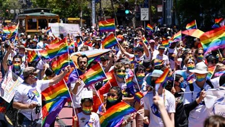 Bark Box CEO apologizes for employee's internal message comparing PRIDE collection to MAGA toys