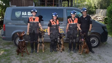 Sie sollen nach Opfern suchen - Ukraine-Spürhunde trainieren in Berlin