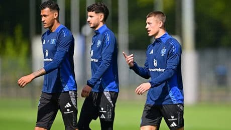 Große Gefahr in Darmstadt - HSV braucht einen Riesen-Plan