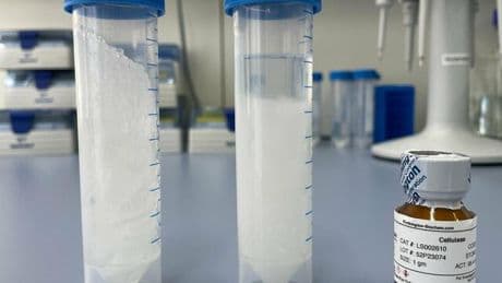 Gamechanger: Wie Enzyme helfen, Berge aus Windelmüll zu vermeiden