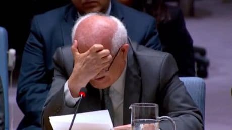 Palestinian UN envoy breaks down in tears over children dying in Gaza