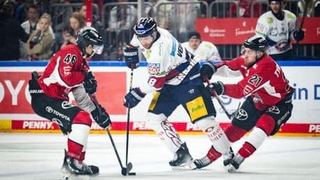 Nur noch ein Sieg fehlt: Eisbären greifen jetzt nach dem Titel