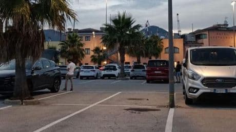 Gatto decapitato alla marina di Sestri Ponente, indagine della polizia locale