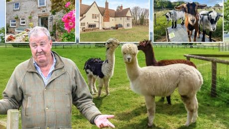 Six UK farm stays inspired by Clarkson’s Farm from remote cottages to Highland cow petting